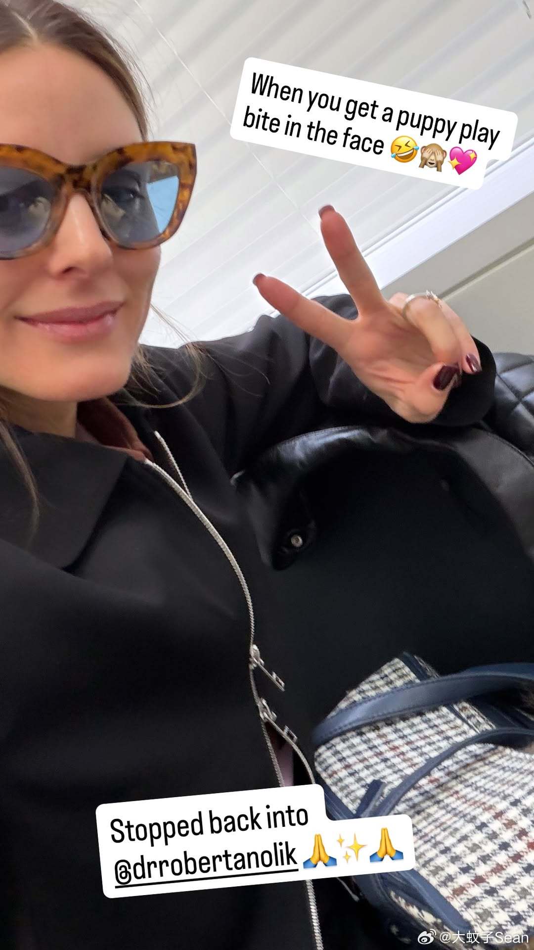 OliviaPalermo奥利维亚巴勒莫的新狗狗TongTong到家没多久就