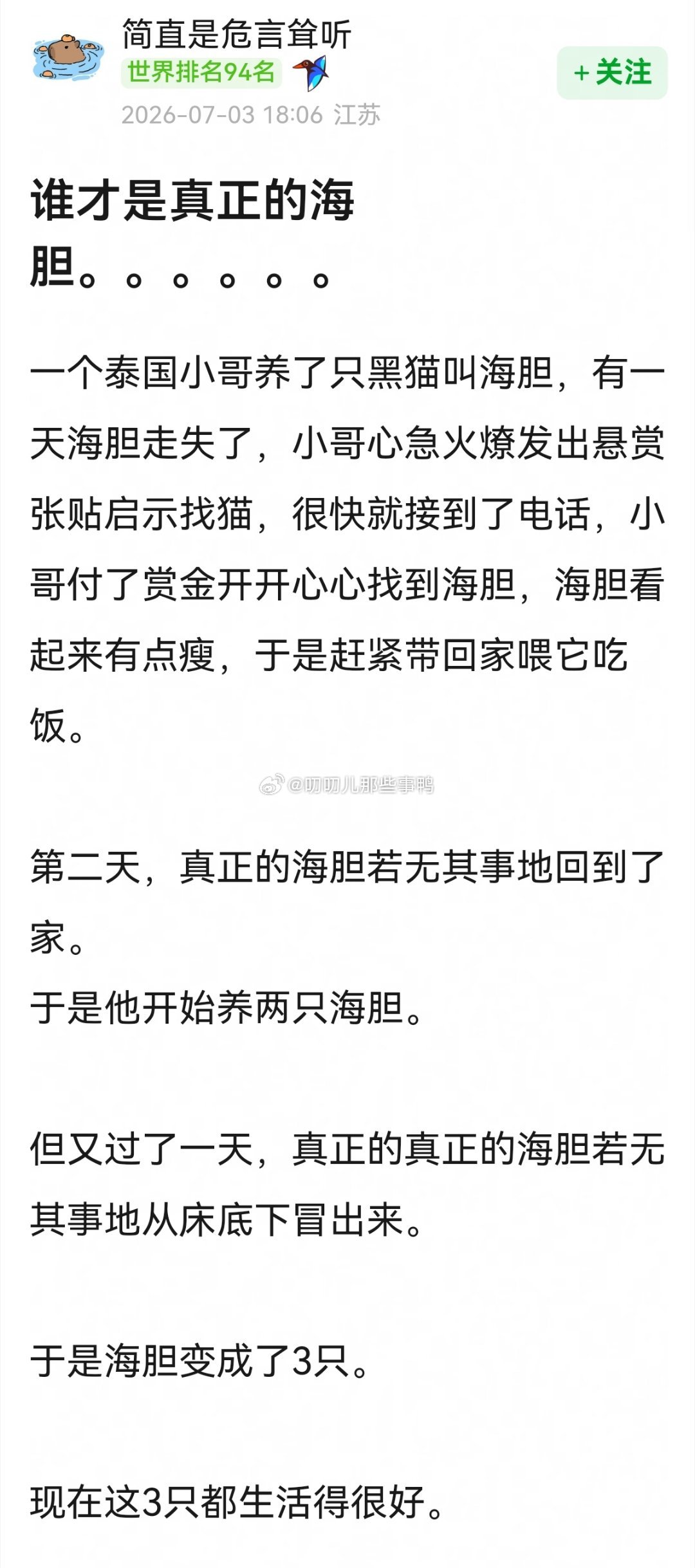 三只一毛一样的黑猫～🐈⬛🐈⬛