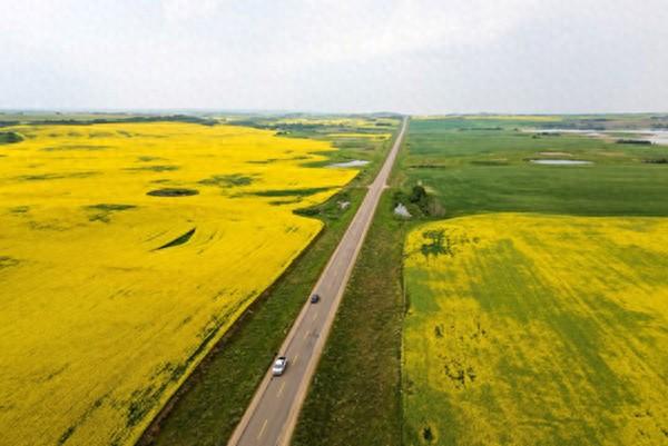 加拿大感谢中国 在加拿大总理卡尼访华之后，中国进口商已经至少购入10批加拿大