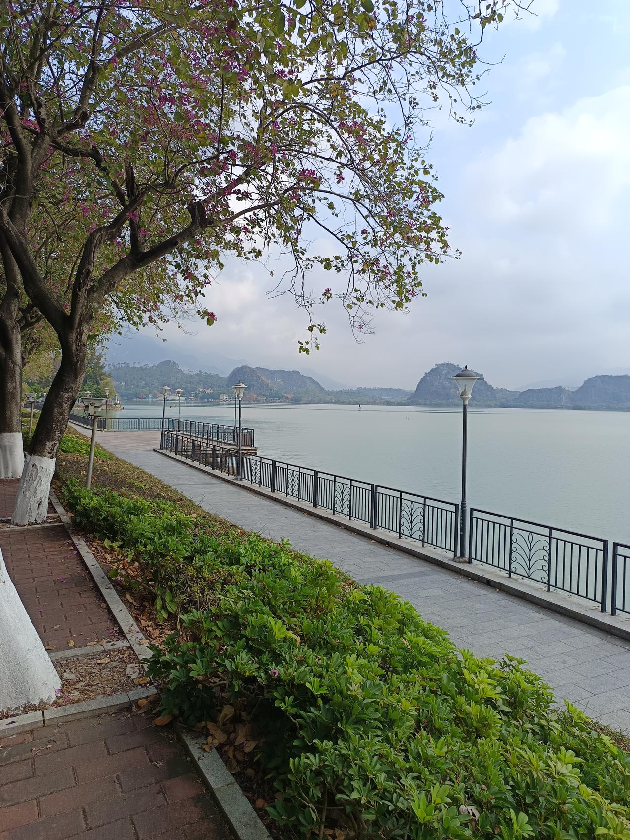 我终于知道了为什么现在香港明明很落后？却依然有这么多旅客要去，原来这里的风景