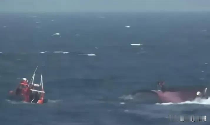 事有蹊跷连续两天中国渔船在韩国附近倾覆，共导致2人溺亡12人失踪。据韩国媒体报道