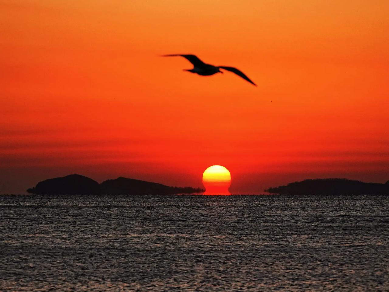 我们在上课之前都跟家长讲清楚，把价格定好了。低于这个价格的学生，我们不接。为什么