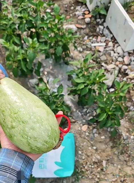 好儿媳妇的标准，你觉得对不对：1、喊婆婆一定要喊妈，多喊，勤喊，妈都不喊，最伤
