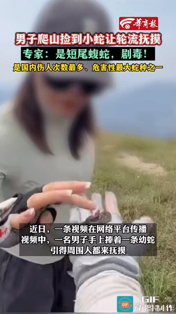 好奇害死猫！近日，一男子爬山的时候意外捡到一条小蛇，看视频应该是条刚出生没多久的