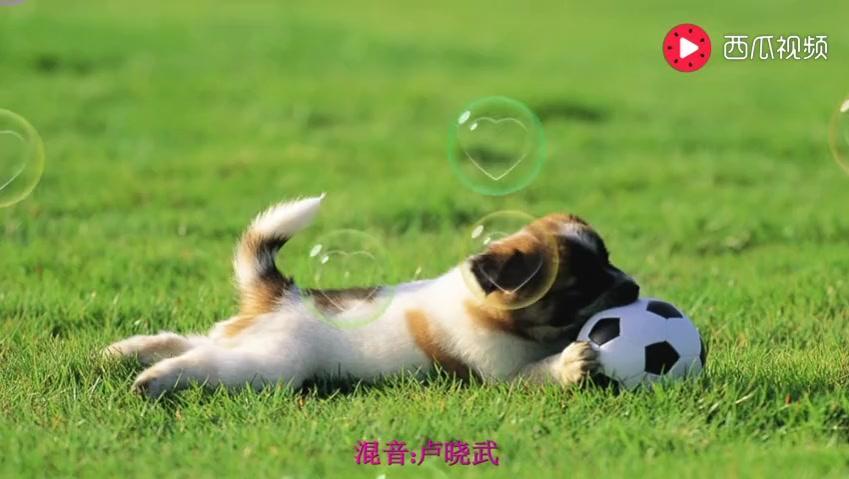 8365281626057954353.jpg?id=0