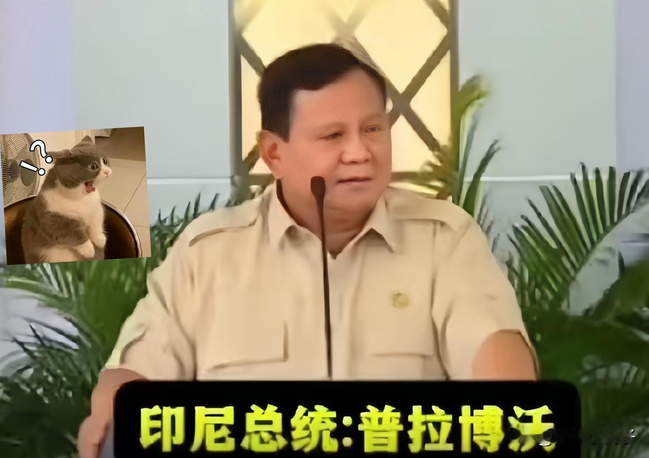 最近印尼总统在电视上直接回怼那些说雅万高铁要亏钱的人。他说全世界地铁公交哪个不是