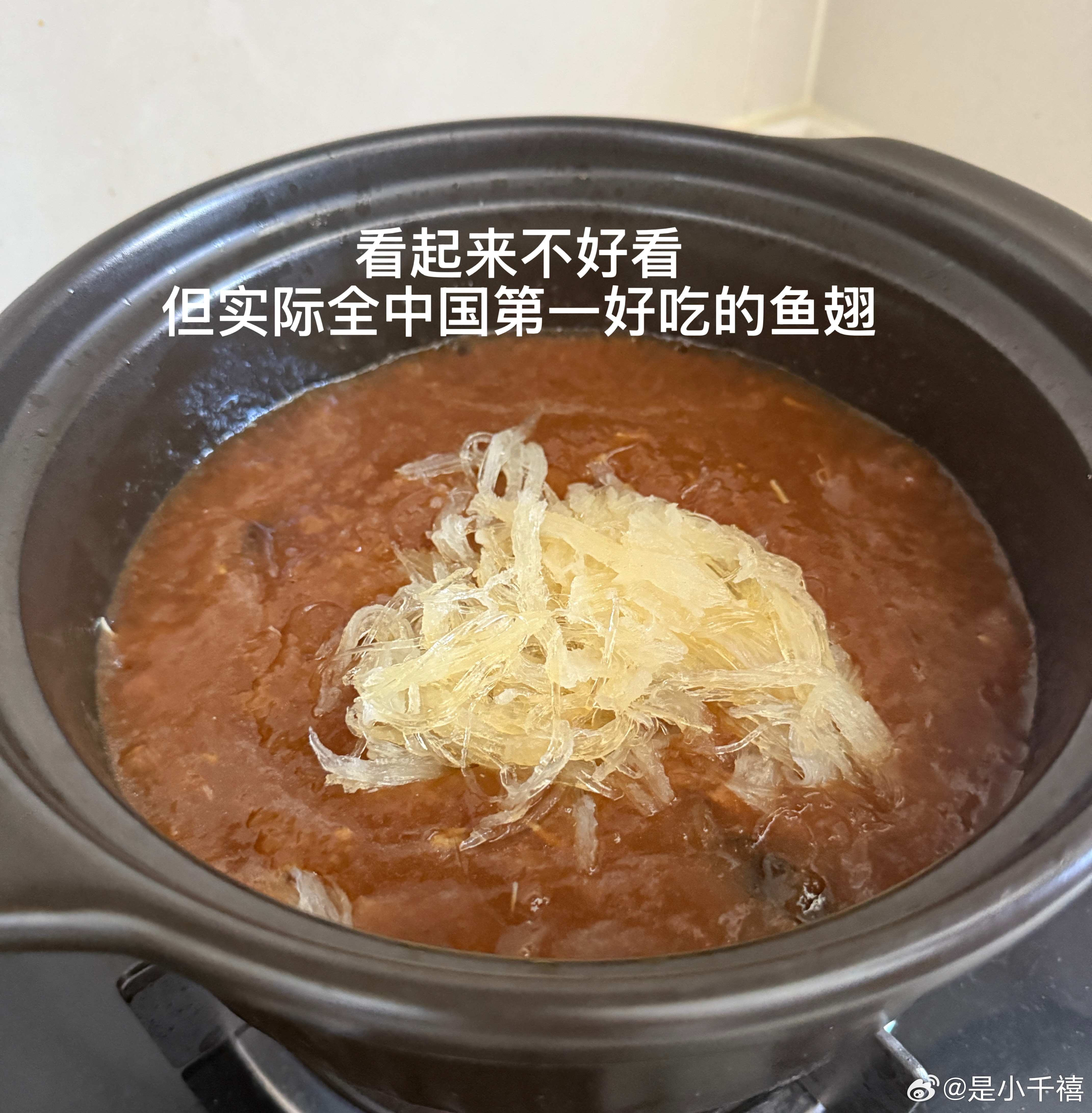 干妈来趟杭州给我喂胖四斤突然想养小狗于是去朋友那借了她的狗来养了两天决定还是放
