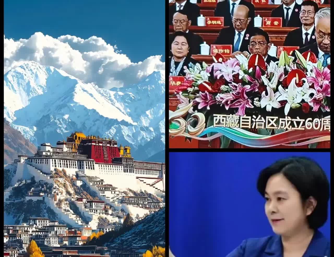 华春莹副部长跟随中央代表团前往西藏，参加西藏自治区成立60周年庆祝活动。