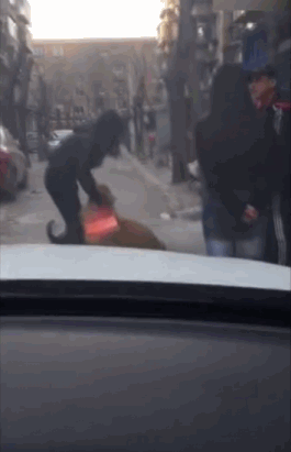 一个妹子路过市场，意外碰到了自己走失多年的大金毛！多年来，一位收留流浪狗的大爷，