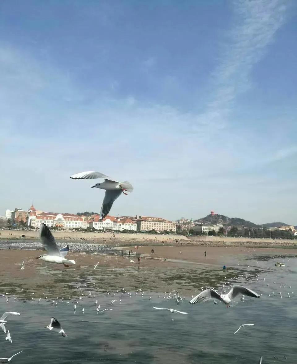 娶了个精神病媳妇，是几代人的悲剧。医院新收治一位年轻患者，身份证显示是2