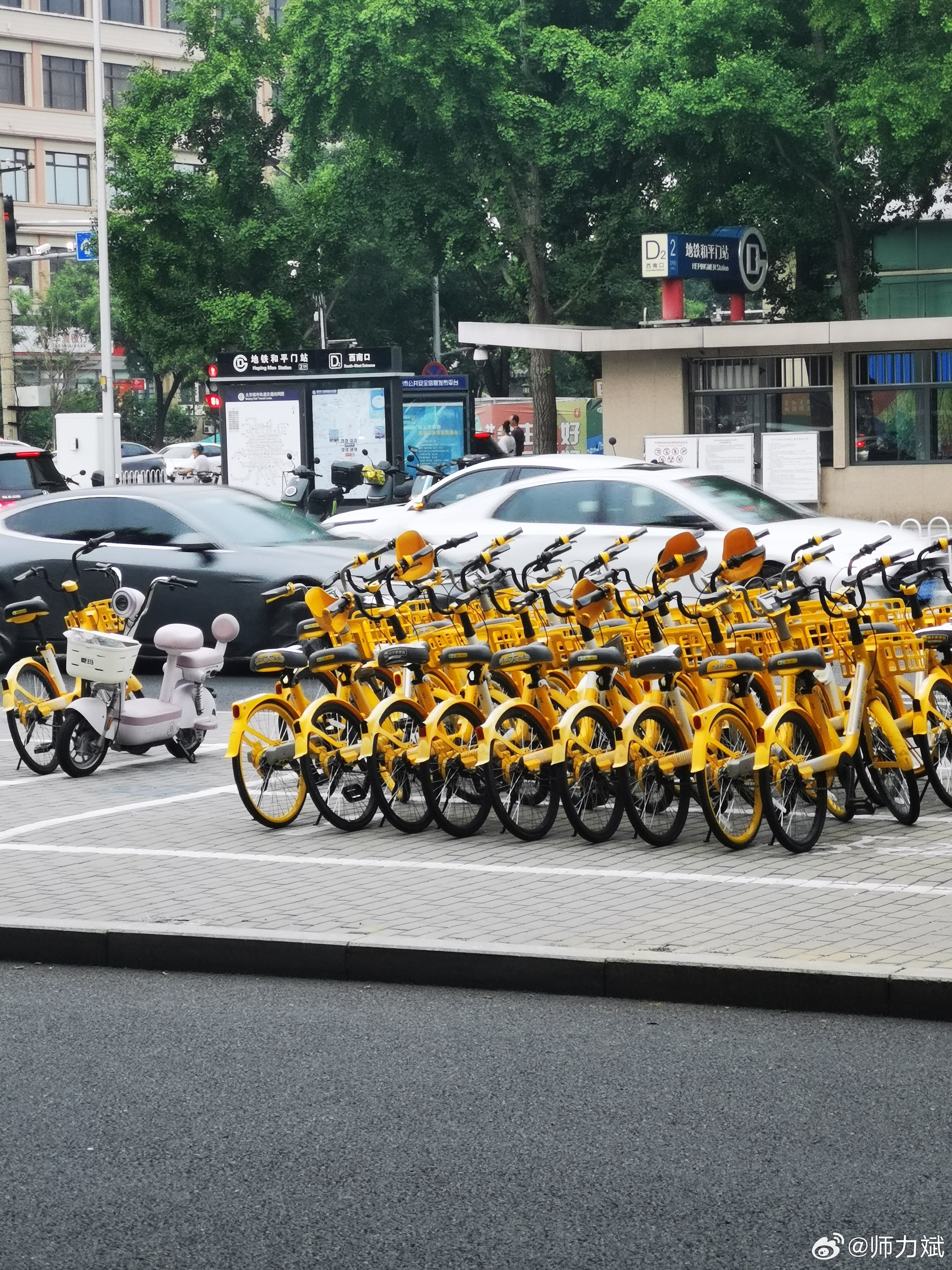 夏日中午西绒线胡同散步那么多墙壁，那么多栅栏围笼孤单的月季那么多瓷砖，那么多玻璃