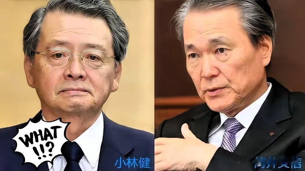 日本商界那两百人的代表团名单，我看了一眼，笑了。这哪是来谈合作的，这分明是来挂