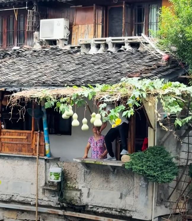 葫芦娃重新回归，葫芦老人夫妇在9月11日中午将原本摘下来的葫芦按照以前大概的位置
