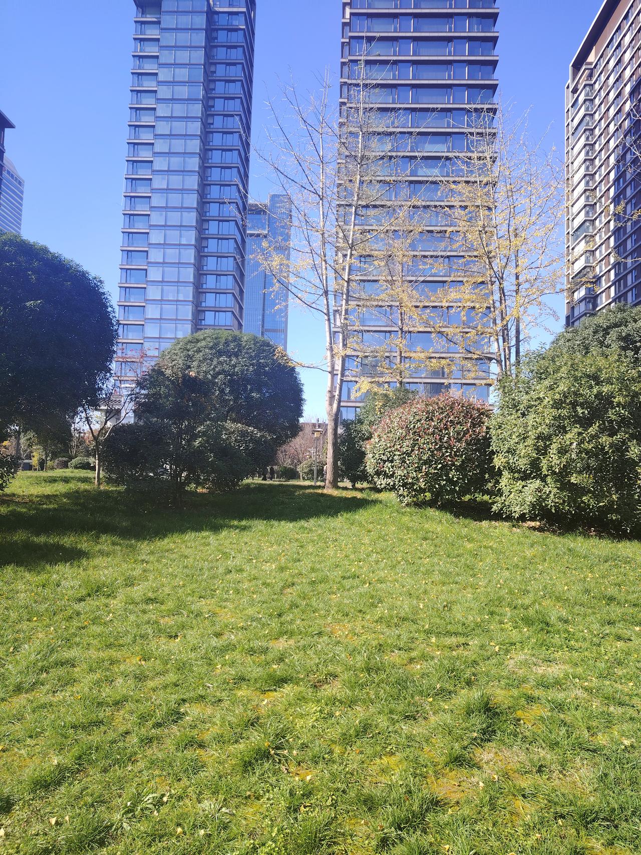 记得有几年，学校的招聘制度颇为严格。每三年进行一次招聘，且每年招聘都要重新来过，