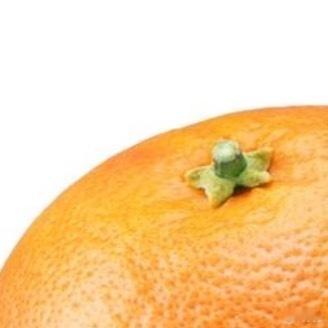 ‎种植🍃每日一善‬🍃诜冬种植西柚的知识：西柚属于热带、亚热带果树，喜温暖光照