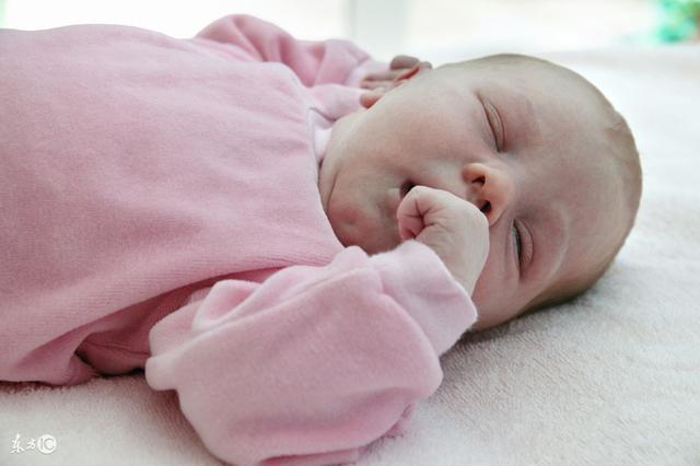 孕妇怎么吃最健康? 这4种食物易致胎儿畸形! 再喜欢也要戒口