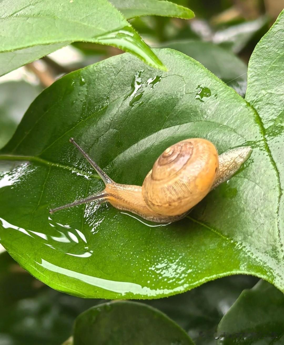 今天看到一句话，突然顿悟了:“朋友圈真正的访客是未来80岁坐在轮椅上的你自己”，