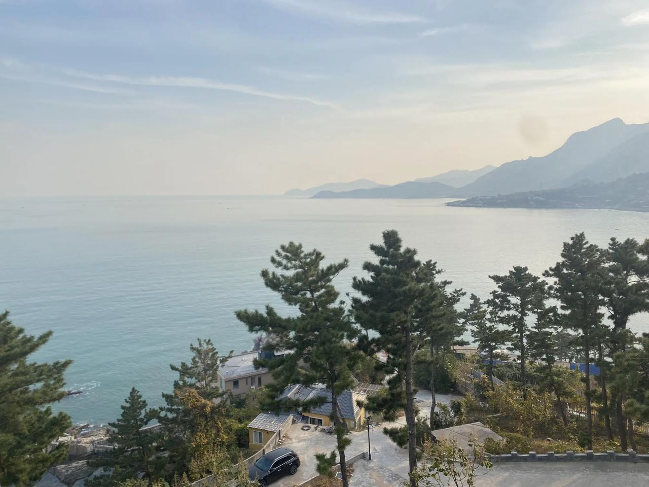 离婚未育后不想结婚了，觉得不婚无娃没什么可怕的，但是父母对结婚生子有执念，一个劲