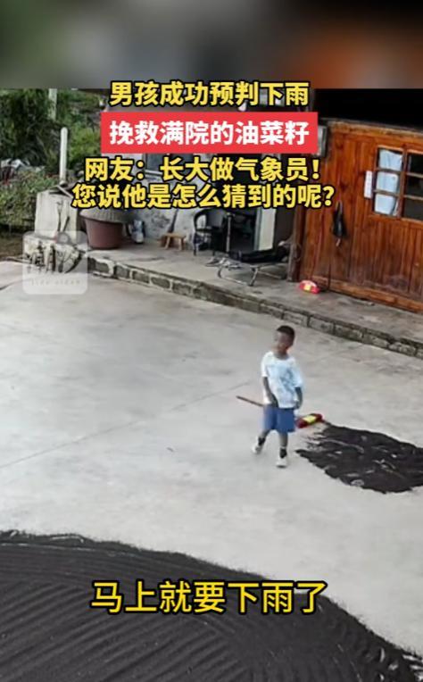 神预测！贵州，一位小男孩站在院子里，突然抬头看看天，说：“奶奶，要下雨啦，快把油