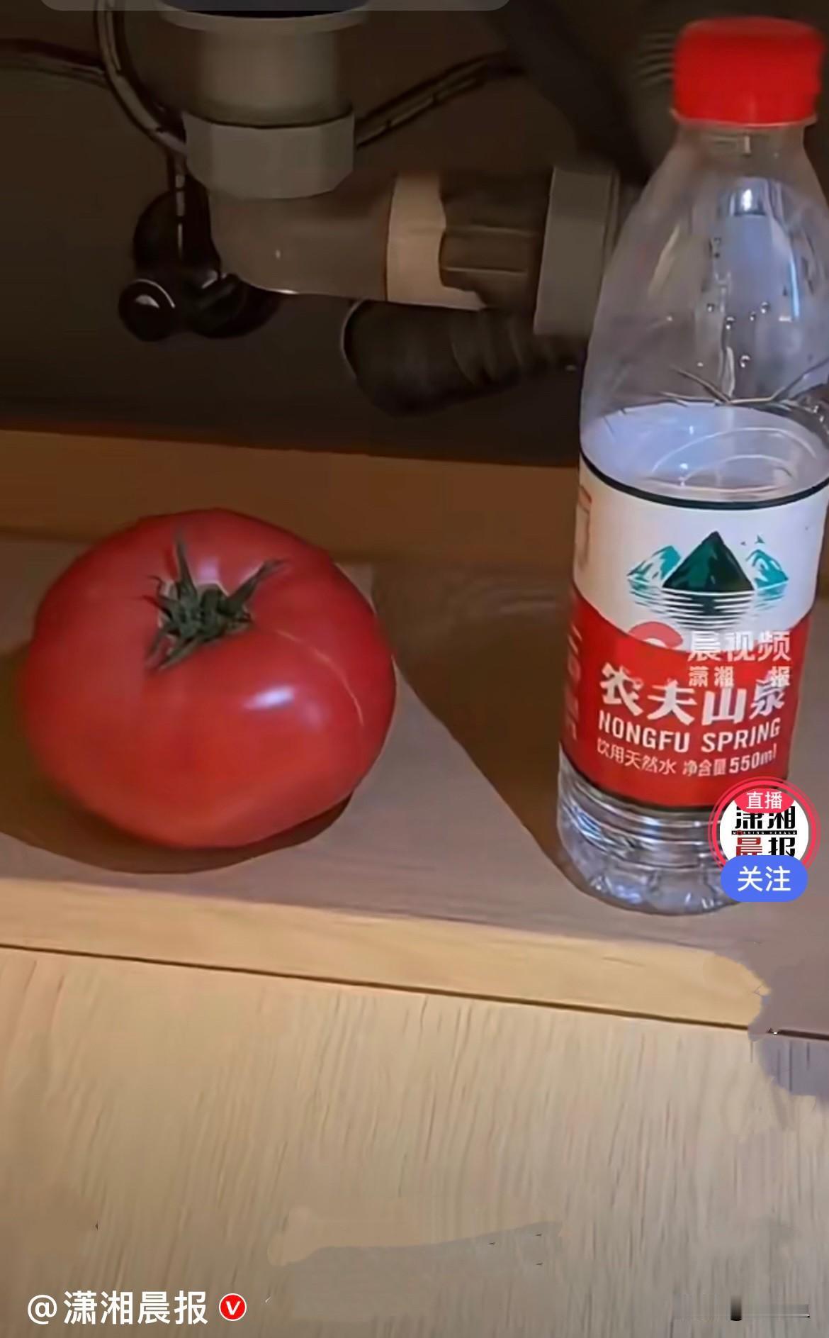 近日上海，一位网友入住酒店，遇到一件特别有趣、又很治愈的小奇遇……