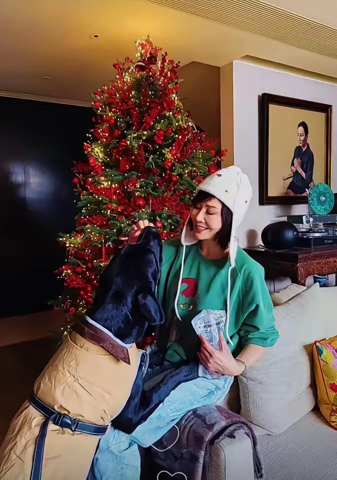 她把世人眼里最“残缺”的生活，活成了满分的样本。刘嘉玲推开家门，两只狗扑过来。