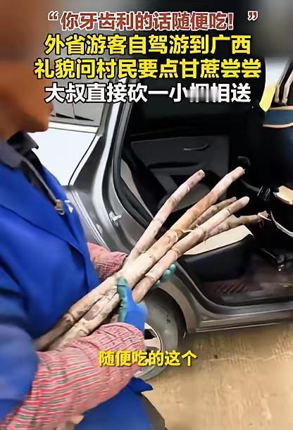 格局打开了！男子自驾游去广西玩，途中看到村民在砍甘蔗，就礼貌询问，想要点甘蔗