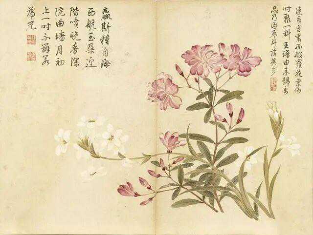 清董诰夏花十帧。董诰（1740年－1818年），字雅伦，号蔗林，浙江省杭州府