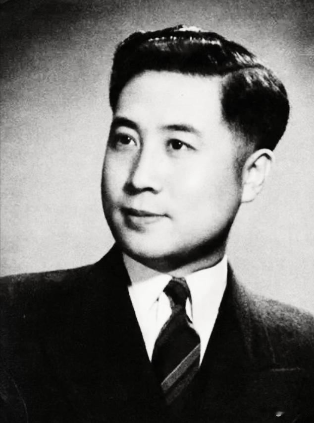 中共特工李时雨，潜伏敌营15年，一路干到军统少帅，官大到自己都心慌，中央指示：大