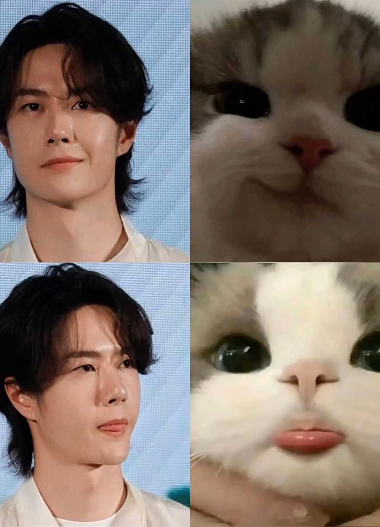 又萌又可爱​​​