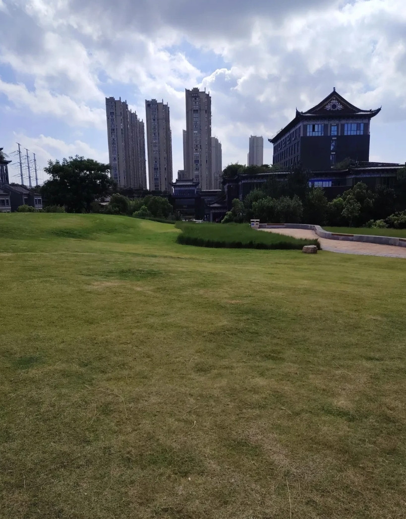 认清了养大儿子的意义。上周末，儿子带着媳妇回来，在家待了两天。告诉我，这周末