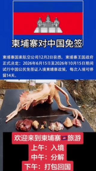 谁懂啊！柬埔寨2026年要对华免签的消息一出，网友的脑洞直接开到湄公河，谐音梗