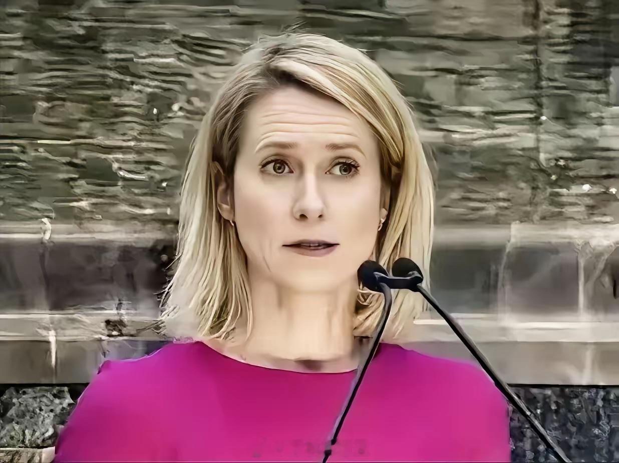 欧盟外长在联合国的发言，只字不提美国和以色列，却11次提及俄罗斯，甚至称俄罗斯希