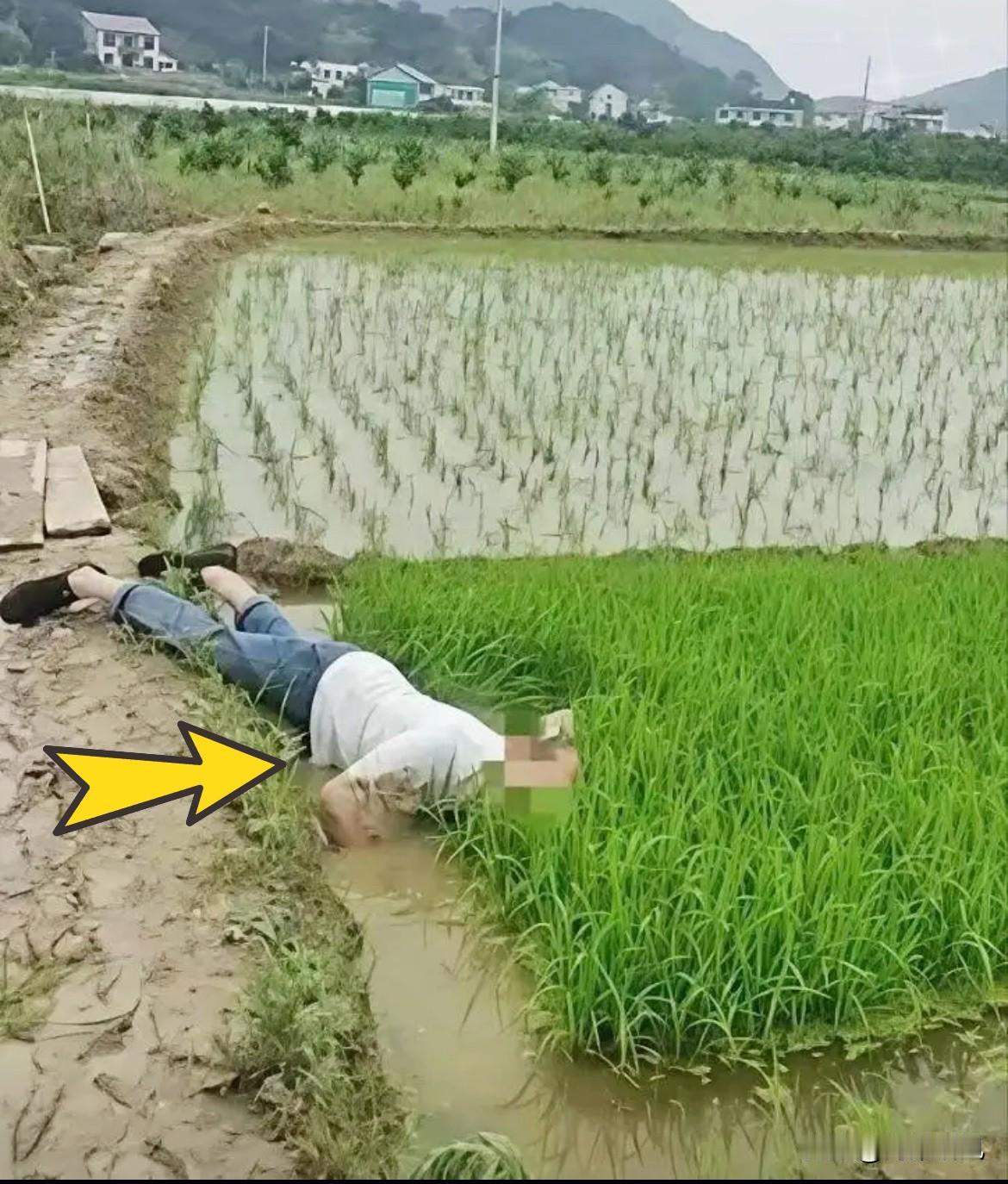 现在的社会真不是“谁死谁有理”的遮羞布了。成都郫都区一位76岁的老大爷，清晨