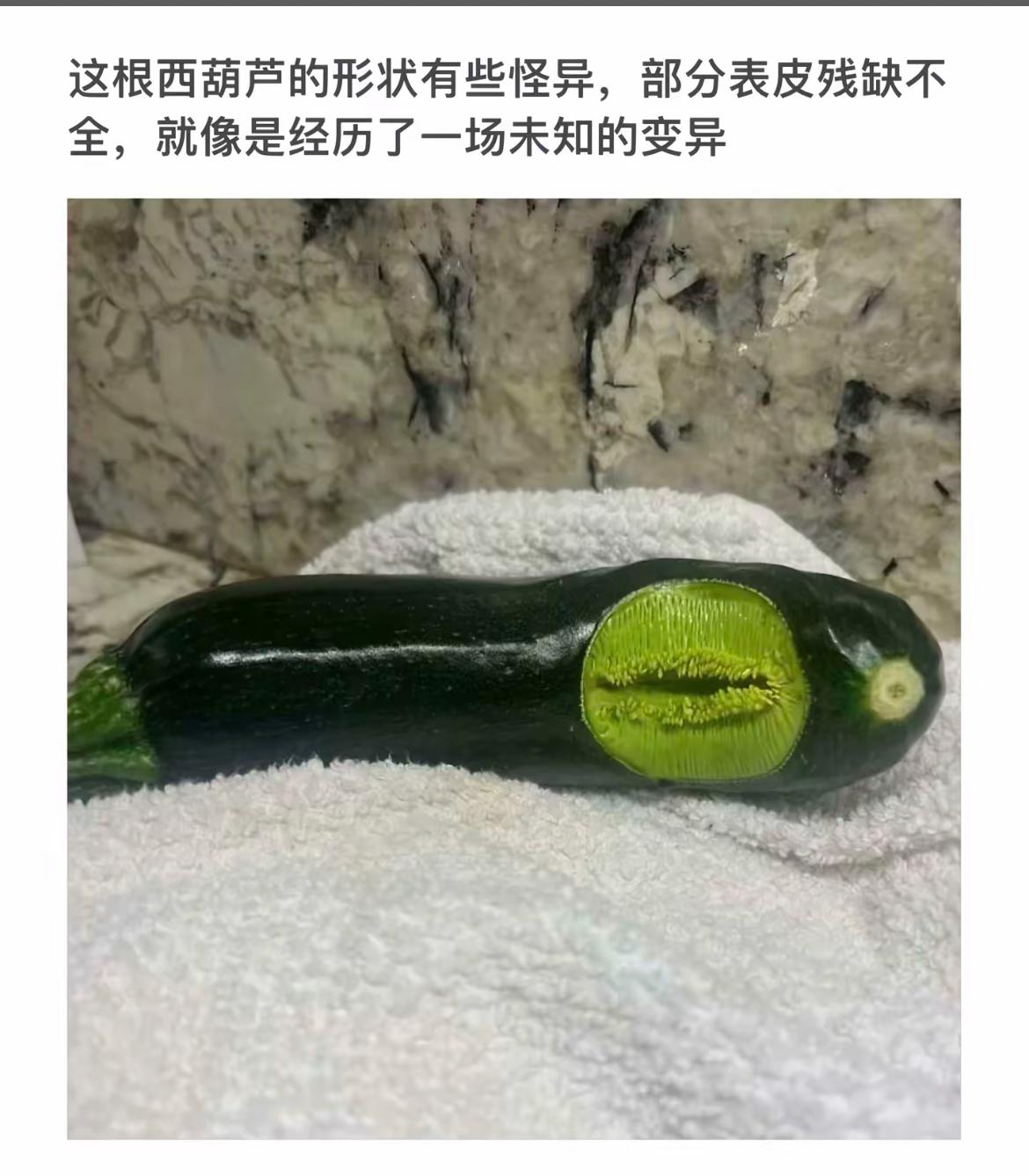 “惊现变异西葫芦，表皮残缺如科幻大片！”🌱😱