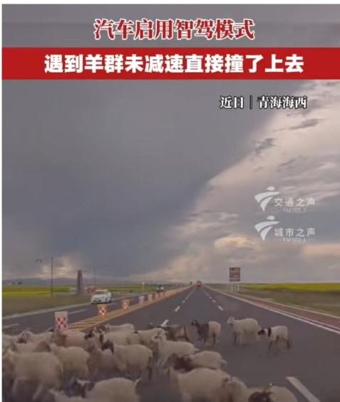 完了，都说网上的测试不能信，这回来了个真的。看网上有个在青海开着辅助驾驶的，车