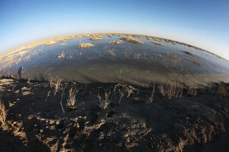 额济纳旗居延海的水域面积最大可达2600平方公里，腾格里沙漠中的青土湖最大水域面
