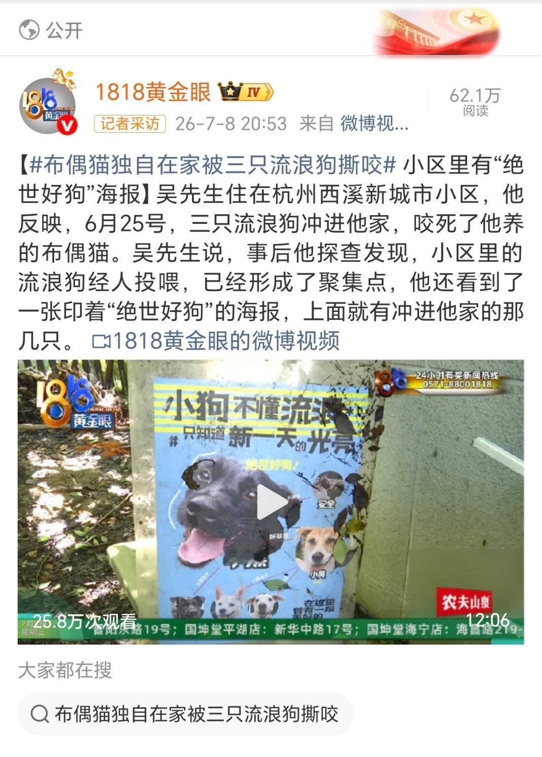 建议猫主人告这个做海报的。还绝食好狗，这么好你不带回家，也不找领养，放外头流浪。