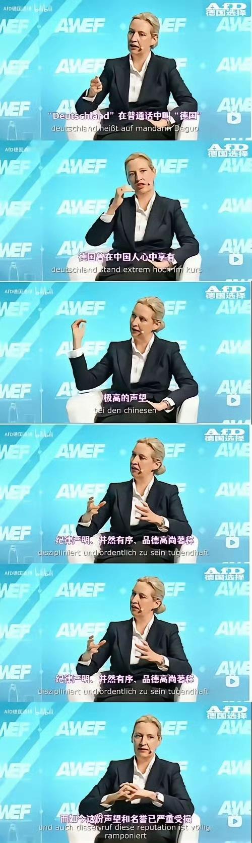 魏德尔：“德国曾在中国人心中享有极高声望与名誉，现在已经严重受损”。​​​