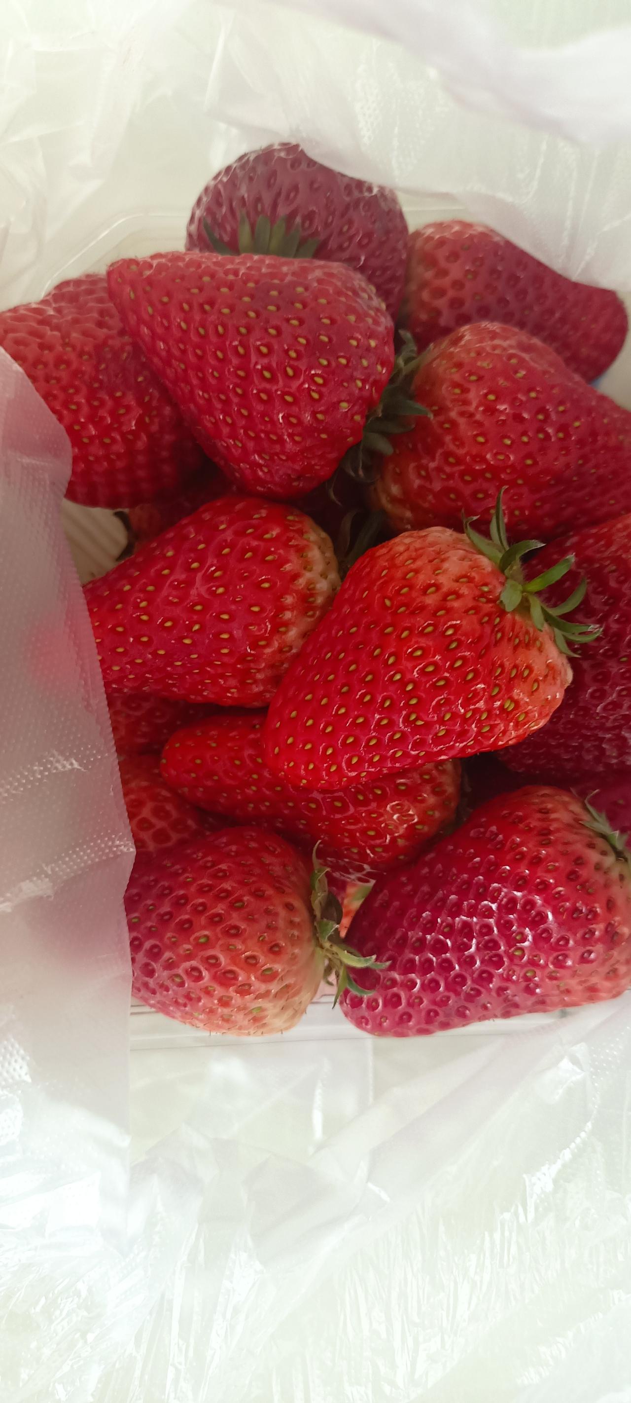 人必须得讲良心，我的三个姑姐，对我都特别好，和亲姐姐没啥区别。现在我的前小叔子