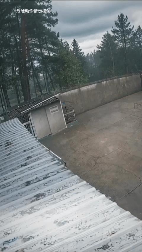 他似乎忘了什么事[呲牙笑]