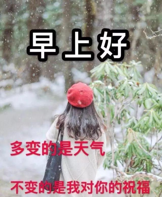 分享早晨的祝福语早安呀，我的粉丝宝子们～一睁眼就刷到你们的点赞和评论，瞬间被暖意