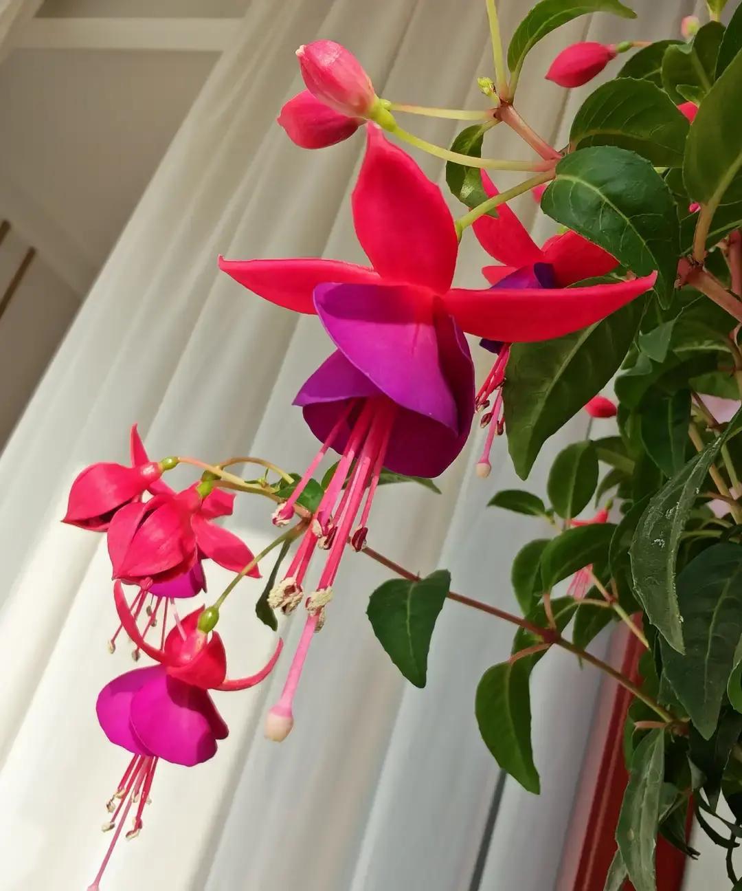 2025年4月5日，某高速服务区，一位女士把车停进车位后，发现旁边的大货车司机正