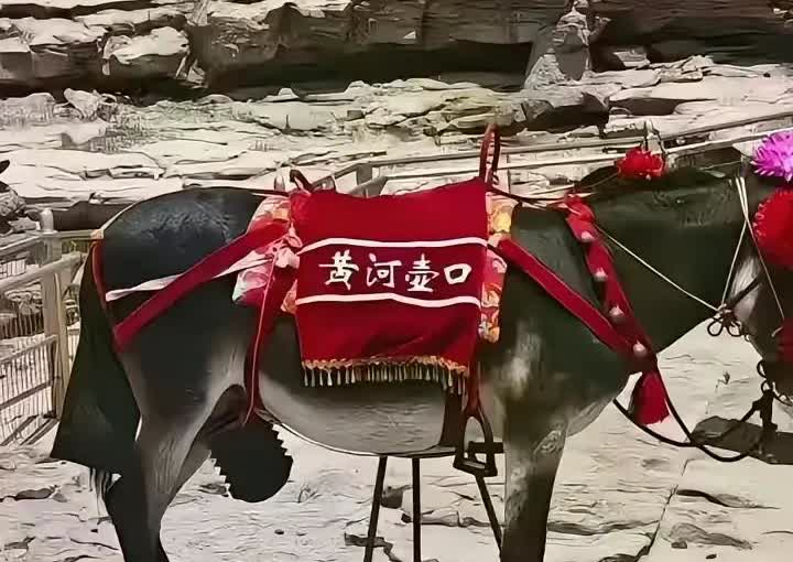 我的严重猜想:此女子大概率这些年家庭生活严重不和谐，对自己的老公严重不满，但