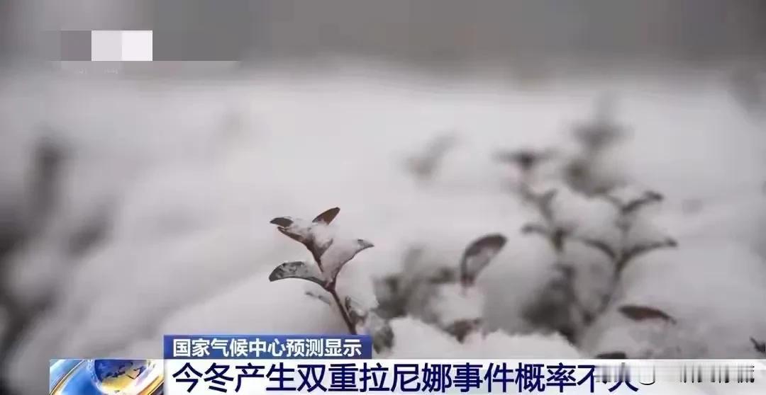 不好意思，谁能告诉我，拉尼娜状态是个什么状态？我看了半天也没有看懂，是暖