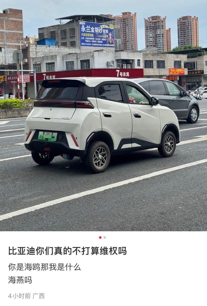 这一群体无法被选中，压根没办法维权，所有车企都中招。​​​