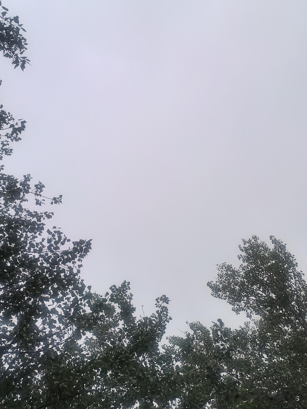 一时的冲动，毁了两条人生！保安一把砸下去，两个人的后半生都完了近日，张女士像