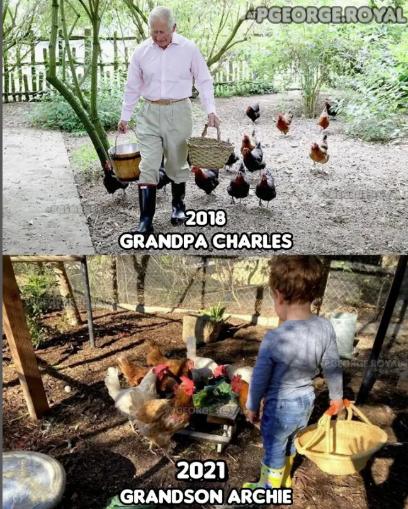 越是缺什么越是晒什么，梅根近日发布了一个莉莉贝特喂鸡的小短片，让人忍不住想她是不