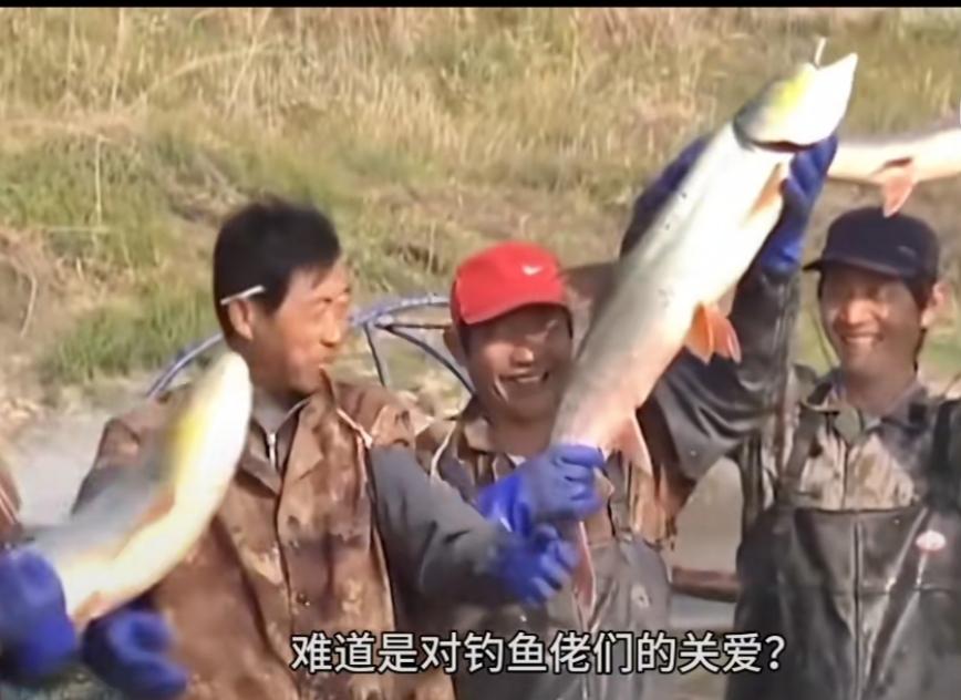 长江十年禁渔，为何却禁捕不禁钓？难道是给钓鱼佬“开后门”？在长江边看到钓鱼