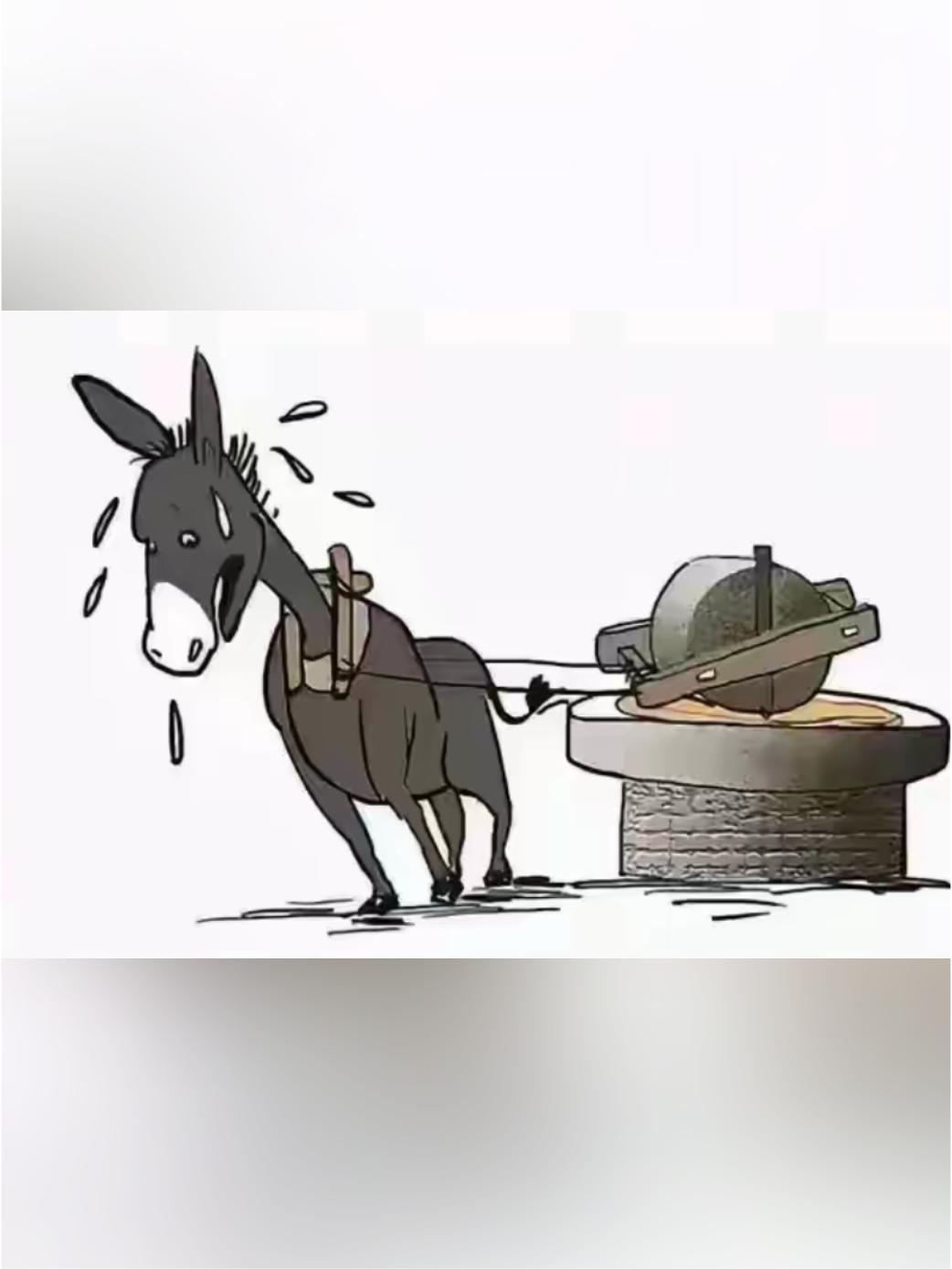 突然明白的道理：最近很火的一个梗，驴贷款买了一个磨，驴买磨是为了有磨拉，驴拉磨是