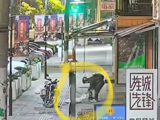 忠诚狗狗守在路边等候主人下班，被陌生男子持弩箭恶意追射、强行偷走！这件事发生